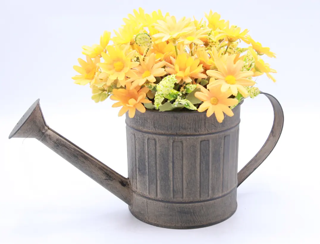 Do You Know Decorative Watering Can? CUUC Factory